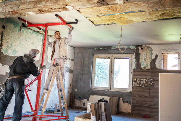 Best Cellulose Insulation in Glasgow, DE