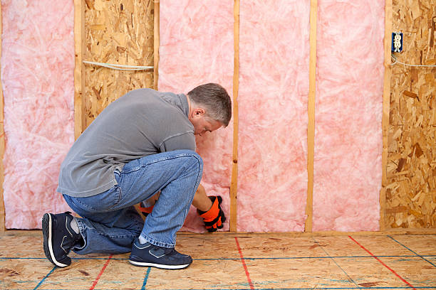Best Specialized Insulation Services in Glasgow, DE